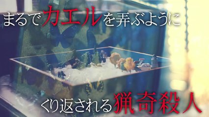 『連続殺人鬼カエル男』