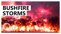 Australia's bushfires are creating freak thunderstorms