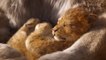 5 facts about the animal kingdom that Golden Globe-nominated 'The Lion King' ignored