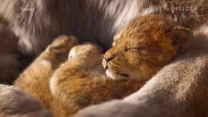 5 facts about the animal kingdom that Golden Globe-nominated 'The Lion King' ignored