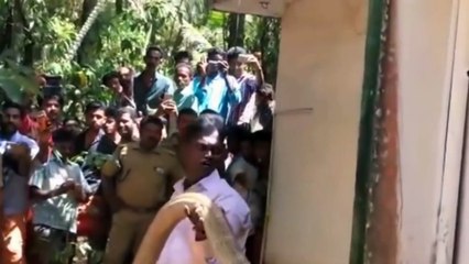 अगर ये कही भी दिखे तो  तुरंत भाग जाना  जान बचा के || WORLD BIGGEST SNAKES