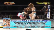 Comical & Sexy ProWrestling WAVE vol.13
