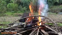 Survival Skills - Primitive Life Forest People Dig House Underground - Meet dailymotion videos