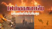 เปิดคลิป-ภาพสุดสะเทือนใจ มหันตภัยไฟป่าออสเตรเลีย