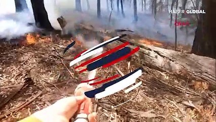 Alevlerin arasından yavru kanguruyu böyle kurtardı