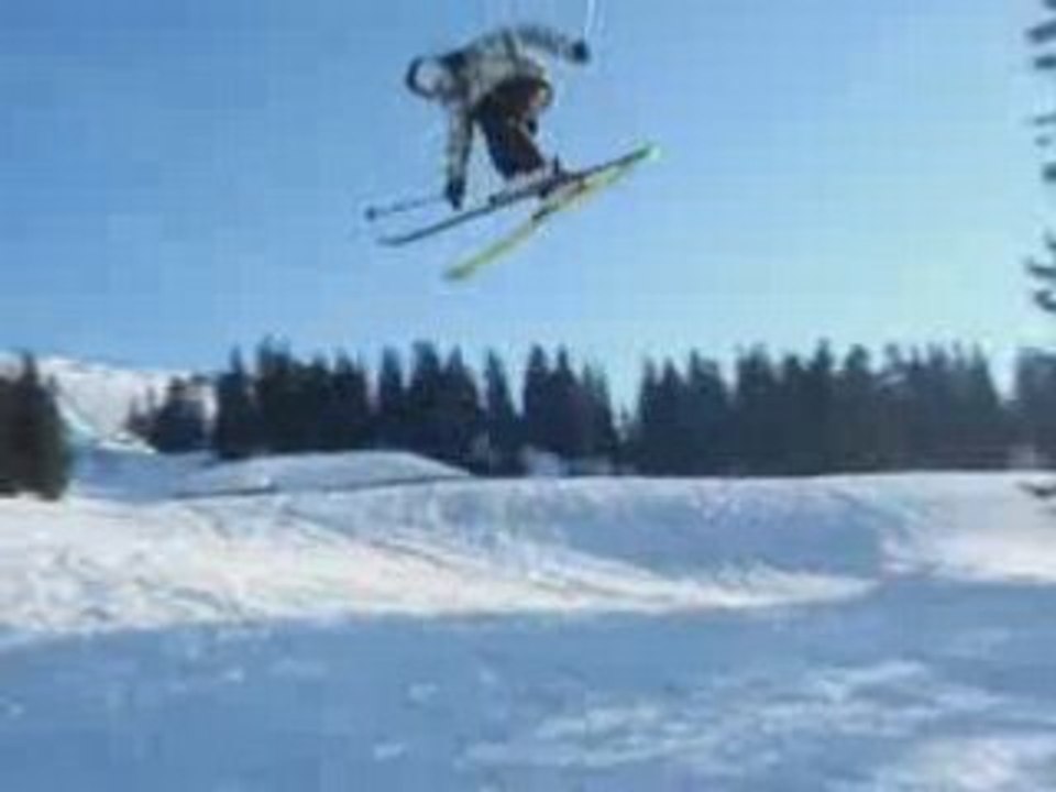 Freestyle a la dole