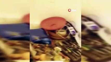 Evini kenevir tarlasına çeviren şahsa polisten operasyon