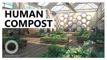 First human composting facility to open in Seattle next year
