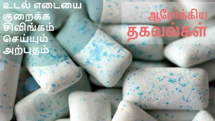 உடல் எடையை  குறைக்க சிவிங்கம் செய்யும் அற்புதம்..!