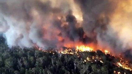 Australia bush fire breaking news latest video