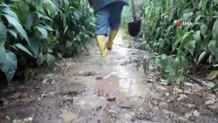 Serik'te etkili olan fırtına çilek seralarını vurdu