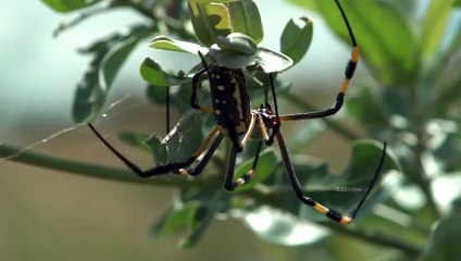 Kruger National Park - this should be on every travellers bucketlist