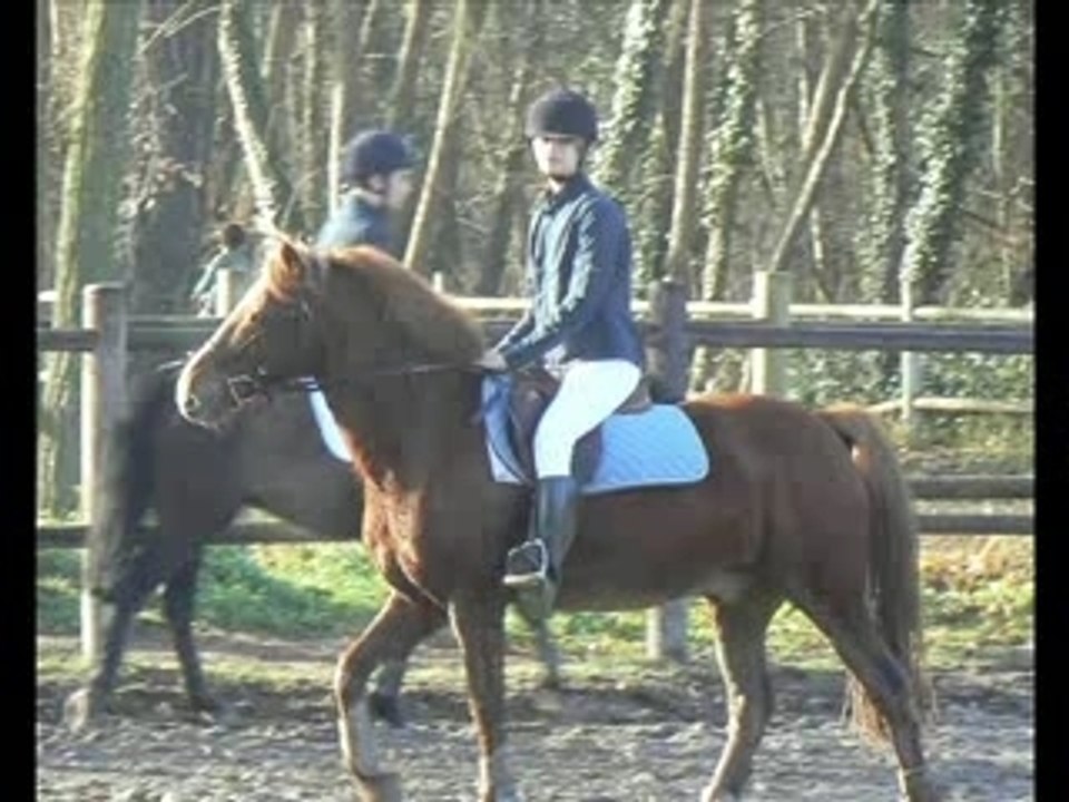 The tEaM dE lA gReNa 2