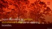 L'Australie ravagée par des incendies