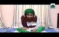 Ameer e Ahle Sunnat Talk About Allama Kashif