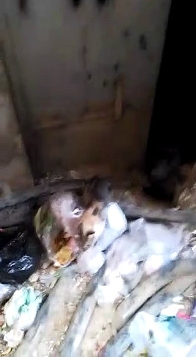 صوت الامة تحذر من كشك كهرباء الموت بالبساتين