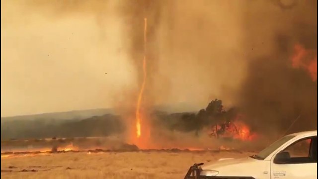 Des tornades de feu ont été observées sur l'île Kangourou, au sud de l'Australie