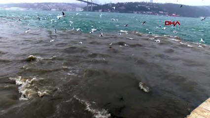 Üsküdar'da denize çamur aktı