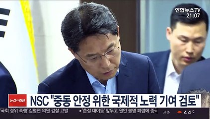 NSC "중동 안정 위한 국제적 노력 기여 검토"