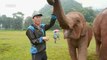 [HOT] hand over food directly to an elephant, 창사특집 다큐멘터리 휴머니멀 20200106