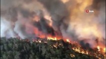 - Avustralya'da yangınların bilançosu artıyor: 25 ölü- Ülke genelinde 19.8 milyon arazi küle döndü