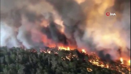- Avustralya'da yangınların bilançosu artıyor: 25 ölü- Ülke genelinde 19.8 milyon arazi küle döndü