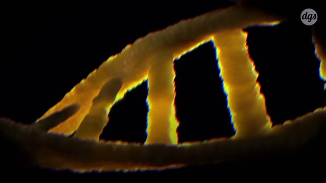 Un super ordinateur basé sur l'ADN capable de calculer les racines carrées jusqu'à 900