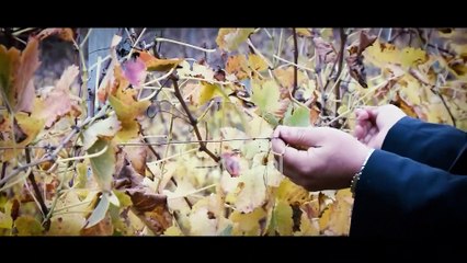 Opinion - Kantina "Arberi"! (30 dhjetor 2019)