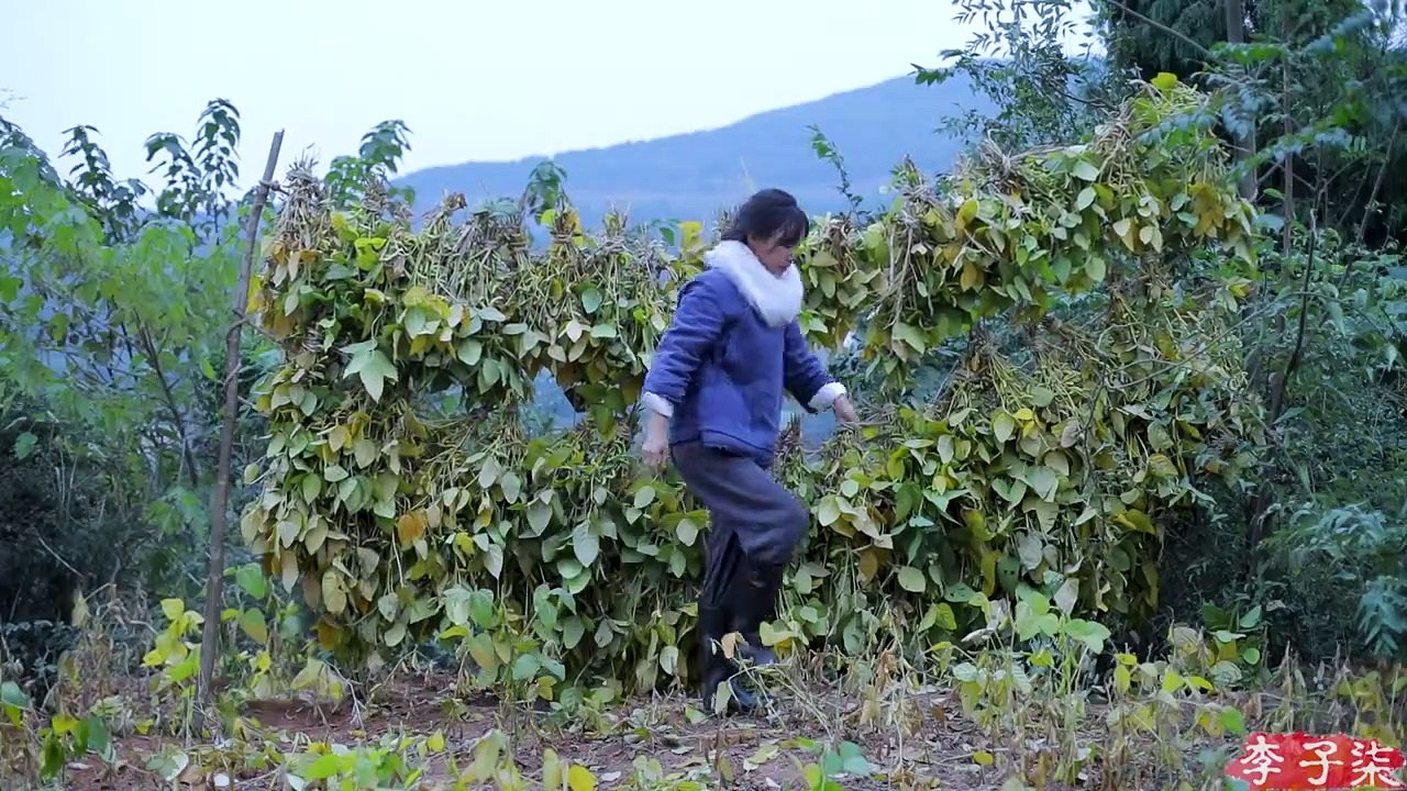 一颗黄豆到一滴酱油传统手工酿造酱油Traditional handicraft.Turn a soybean seed into a drop of soy sauce ▎Liziqi Channel