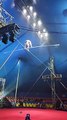 Un funambule fait une violente chute dans un cirque en Russie