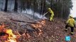 Australian bushfires ease as government commits two billion dollars to recovery effort