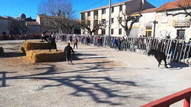 Baillargues : encierro de la fête d'Hiver 2020