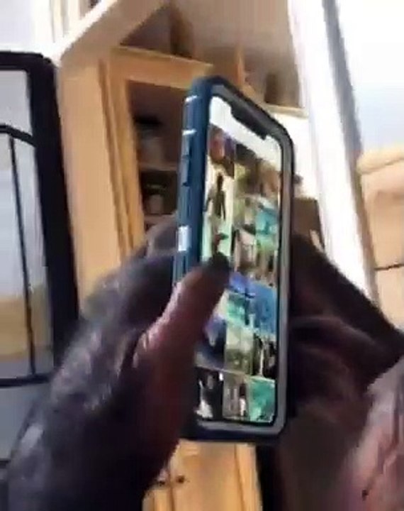 Recollecting memories