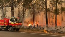 Australia nuk gjen qetësi/ 18 viktima nga zjarret, dhjetëra të zhdukur, 1200 shtëpi të djegura