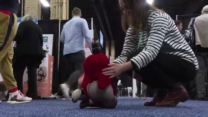 Nacelle volante, pare-brise intelligent et vibromasseurs au CES de Las Vegas