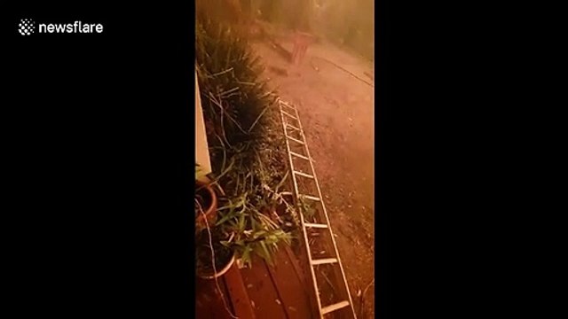 Heroic homeowner defends property against raging flames from New South Wales bushfire