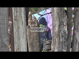 Heroina në Has, vëllezërit Avdyli dhe mundësi Guri mes 19 të pandehurve në dosjen e prokurorisë