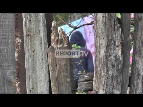 Heroina në Has, vëllezërit Avdyli dhe mundësi Guri mes 19 të pandehurve në dosjen e prokurorisë