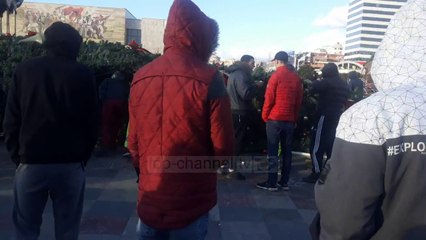 Rrëzohet pema e vitit të ri në Tiranë