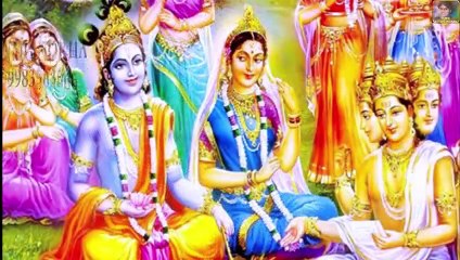 !! Anil Nagori !! सुता शेर जंगल का राजा !! अनिल नागौरी !! ( 480 X 854 )