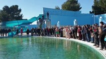 Edhe në Elbasan! Dita e Ujit të Bekuar, kryqi kapet nga një 19-vjeçar