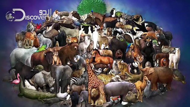 amazing developments and amazing facts about pet animals and master relations | urdu discovery - 2020 - 1