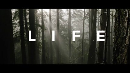 DON'T WASTE YOUR LIFE - Powerful Motivational Speech Video (Ft. Coach Pain)
