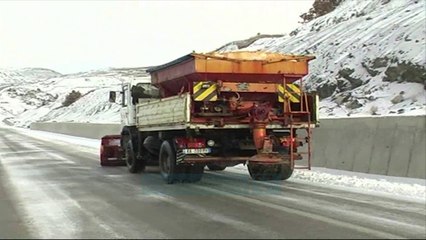 Deti i trazuar pengon nisjen e trageteve nga Bari drejt Durrësit - News, Lajme - Vizion Plus