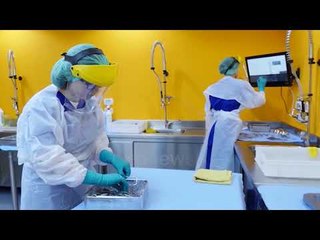 Ora News - PD: Koncesioni i sterilizimit i ka marrë buxhetit 5 mln euro më shumë