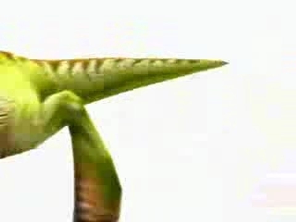 Dinosaur The Chase