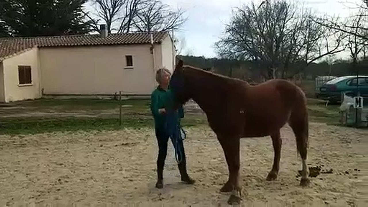 Essai Challenge 4eme mois ( En chantant) Stephanie& Dana