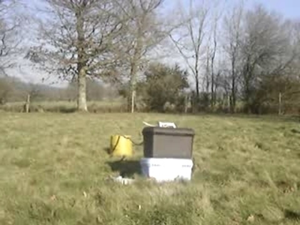 MOV04660