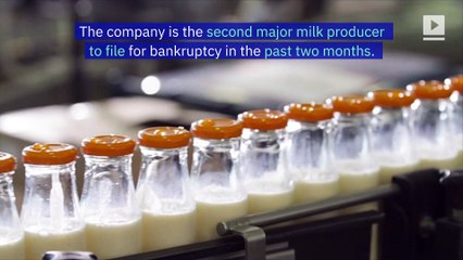 Borden Dairy Company Files for Bankruptcy