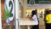 Tailandia abre su primera clínica que combina cannabis y medicina tradicional